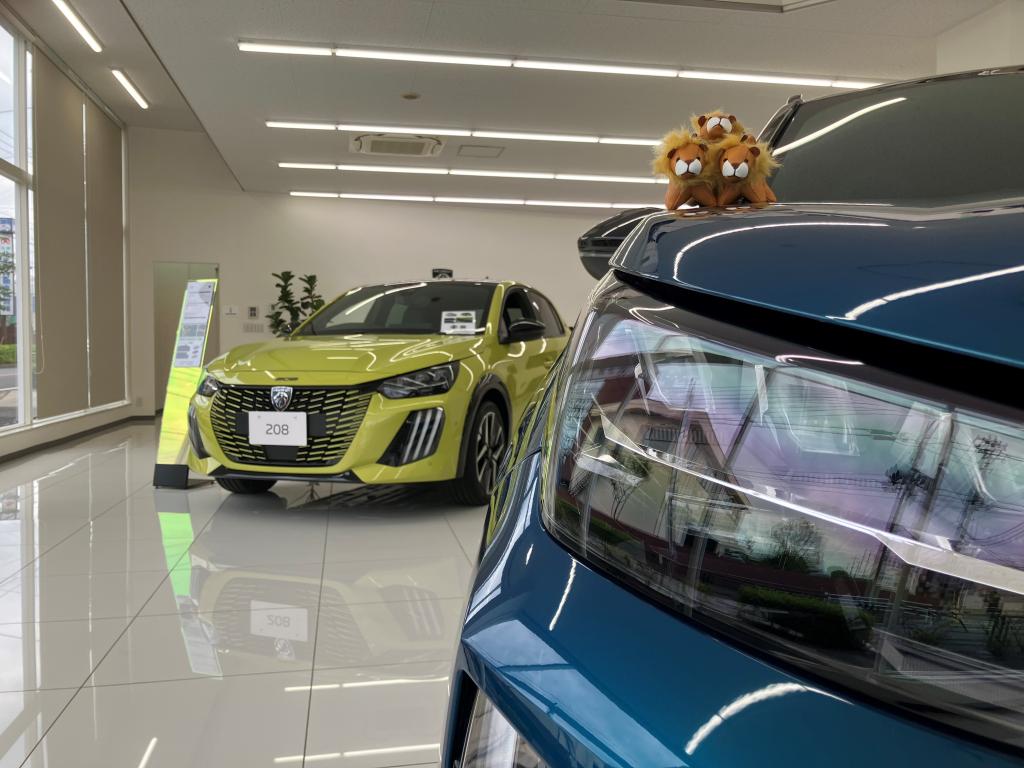 208 限定カラーのアゲダイエローが入りました。