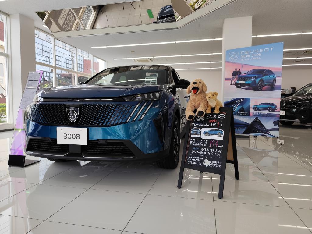 New 3008の猫耳