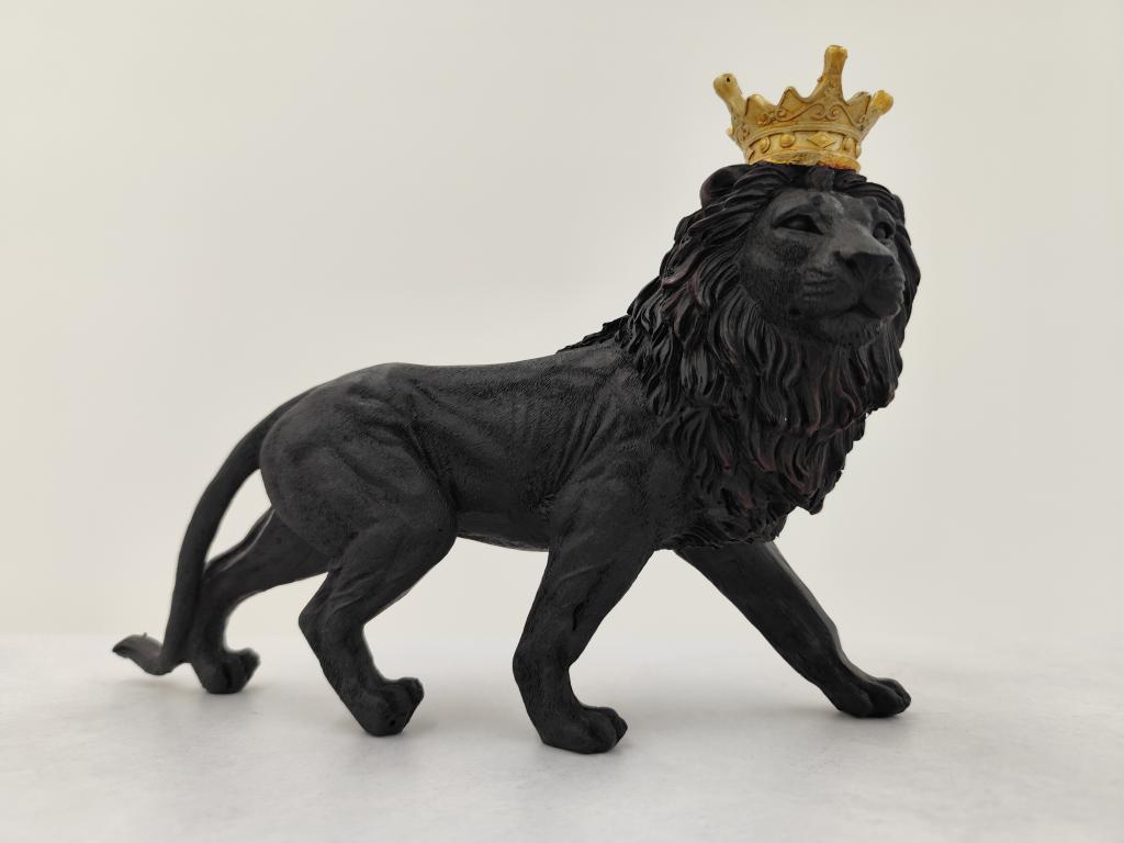 お客様からの頂き物