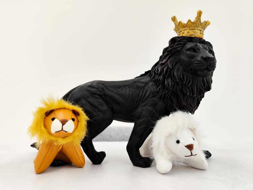 お客様からの頂き物