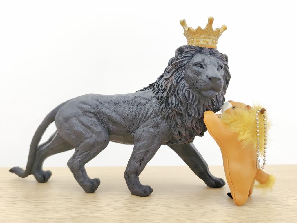 展示車入れ替えました！