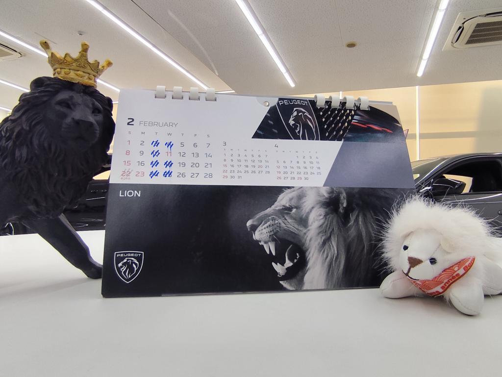 プジョー 足立 2月営業日のご案内！【2月22日は猫の日です！】