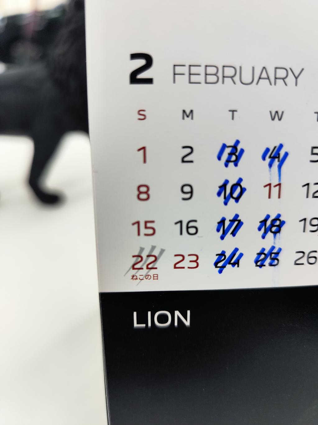 プジョー 足立 2月営業日のご案内！【2月22日は猫の日です！】