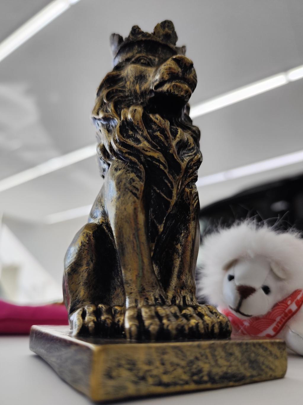 お土産を頂きました！