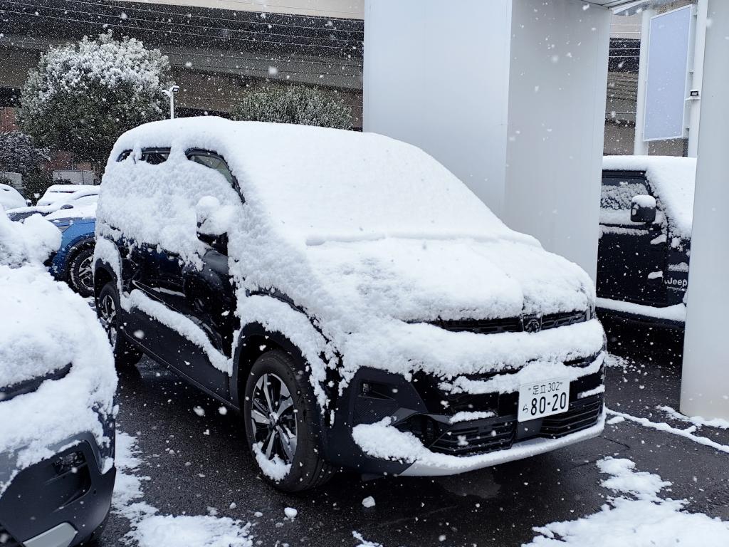 雪が積もりました！！！