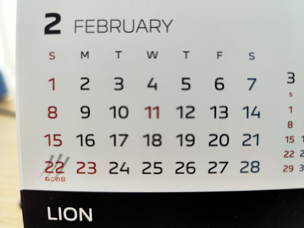 本日2/22日は【猫の日】です！