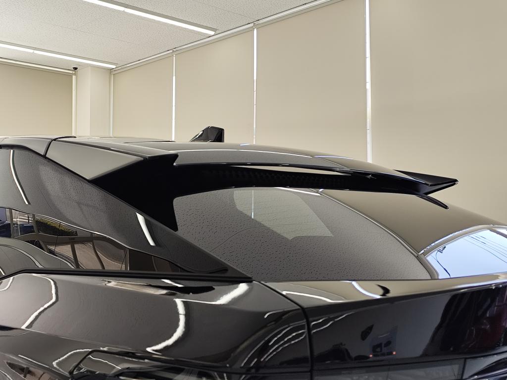 本日2/22日は【猫の日】です！