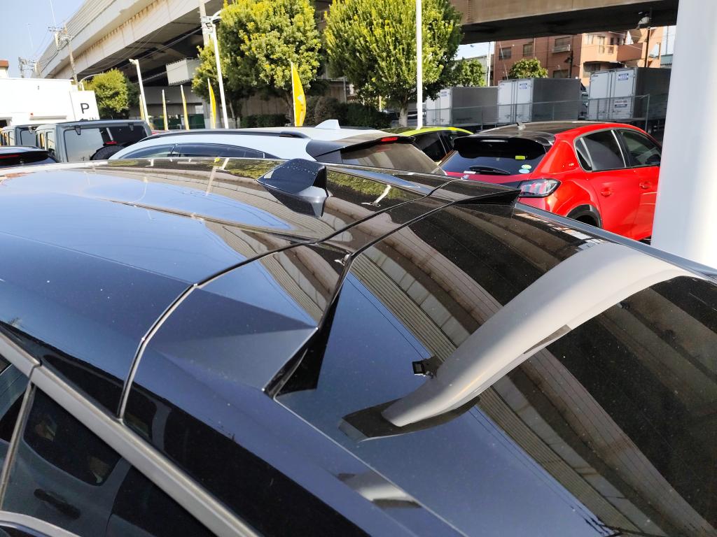 本日2/22日は【猫の日】です！