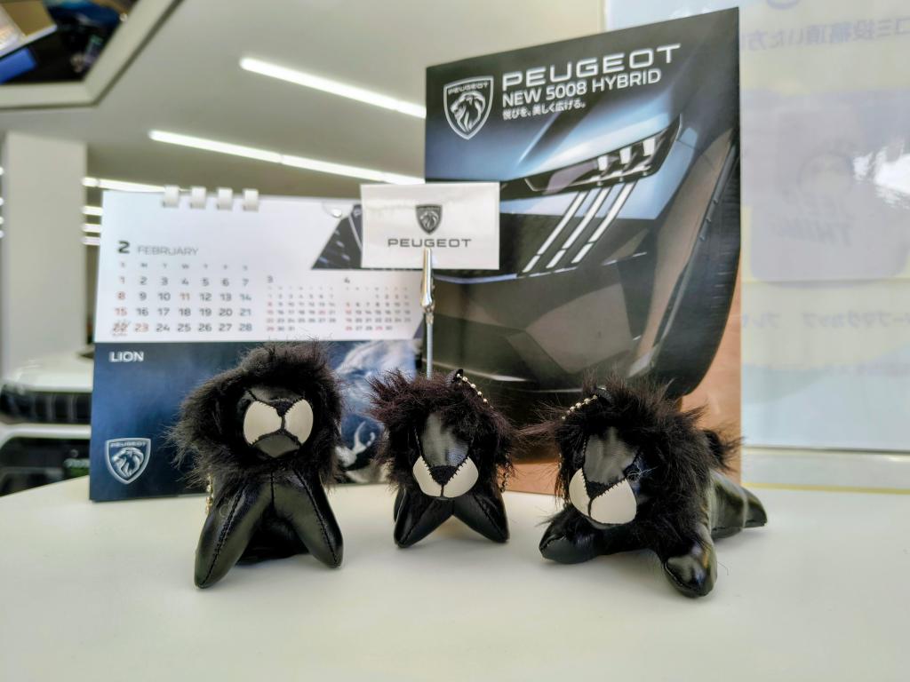 5008 デビューフェア開催！