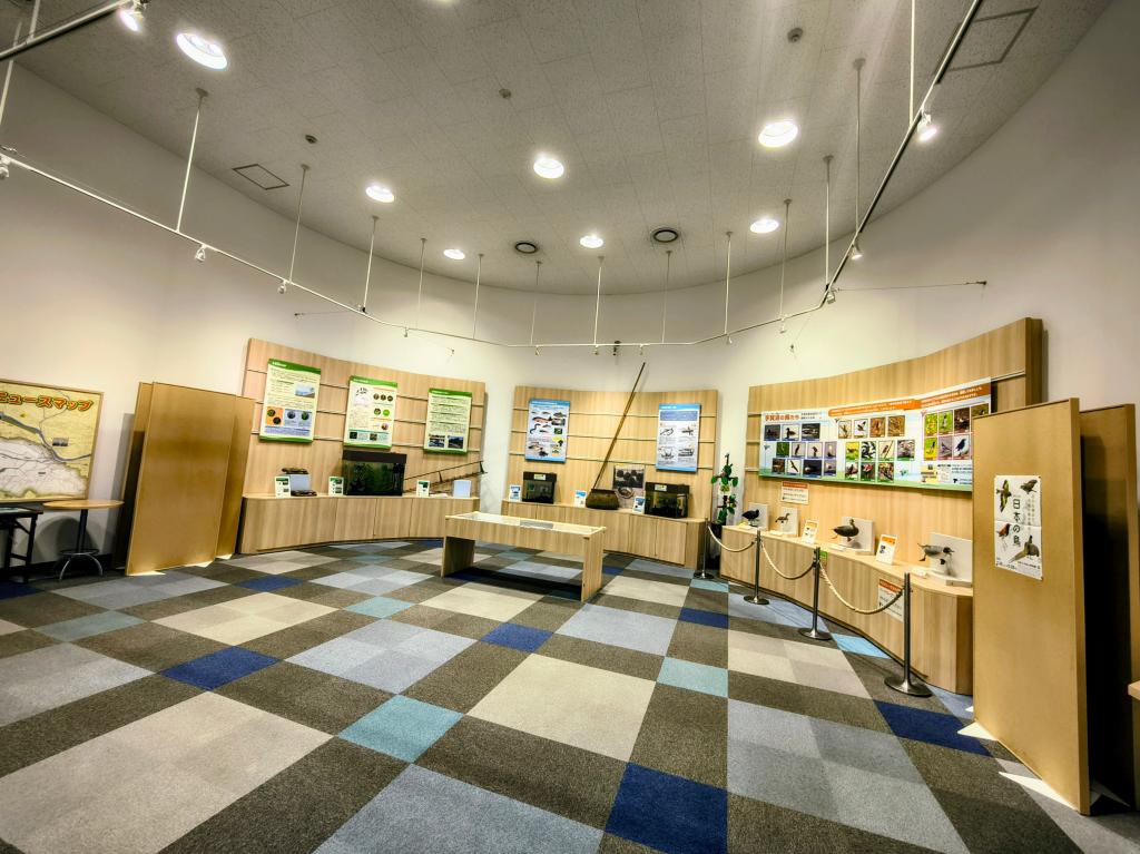 手賀沼の桜！！