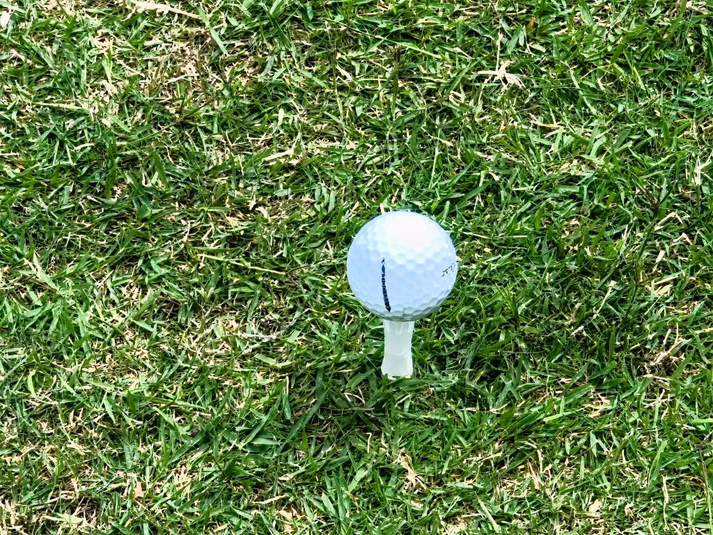 みんなのGOLF5