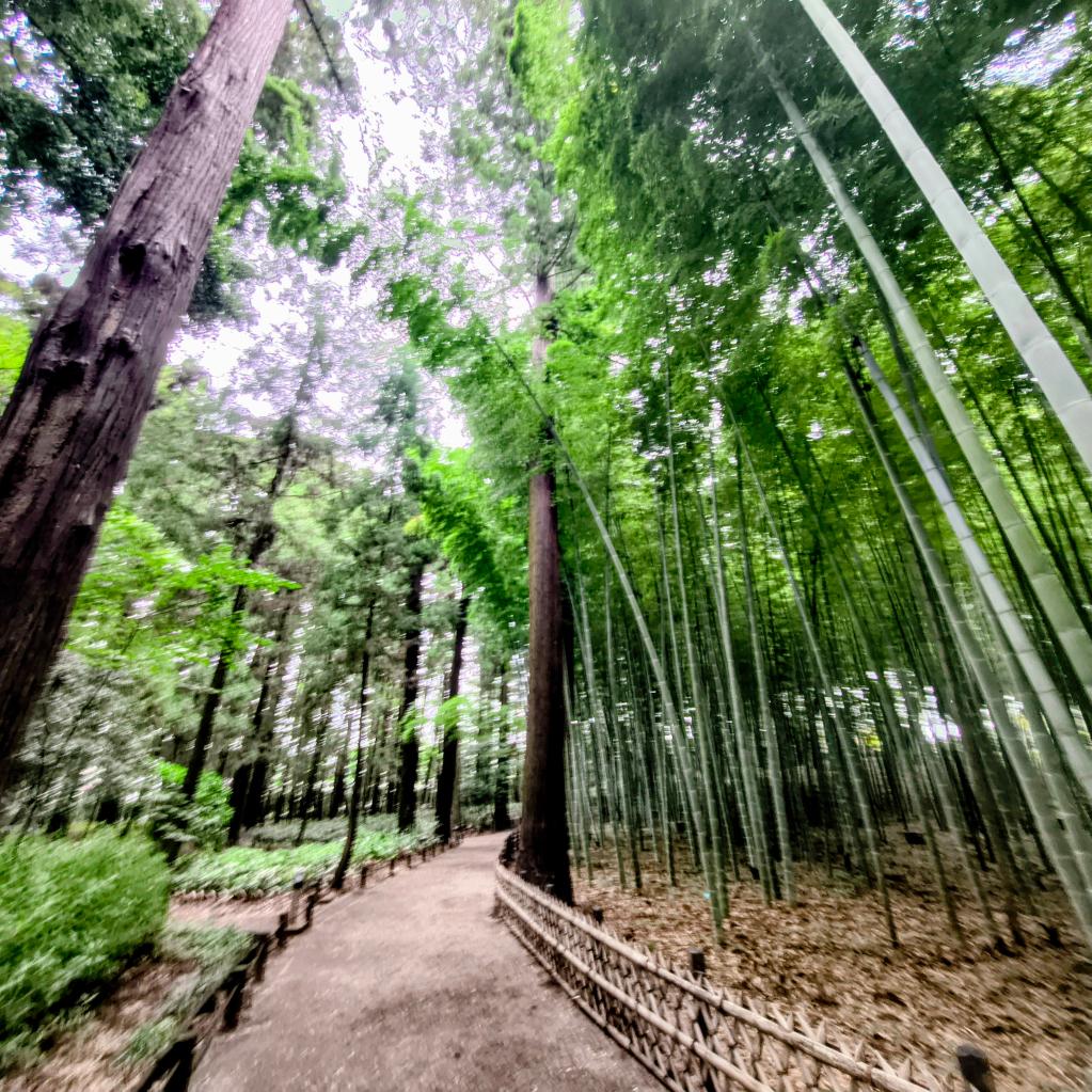 水戸！
