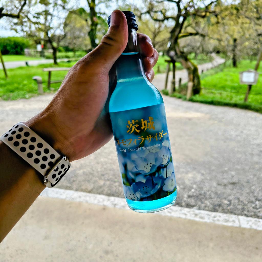 水戸！