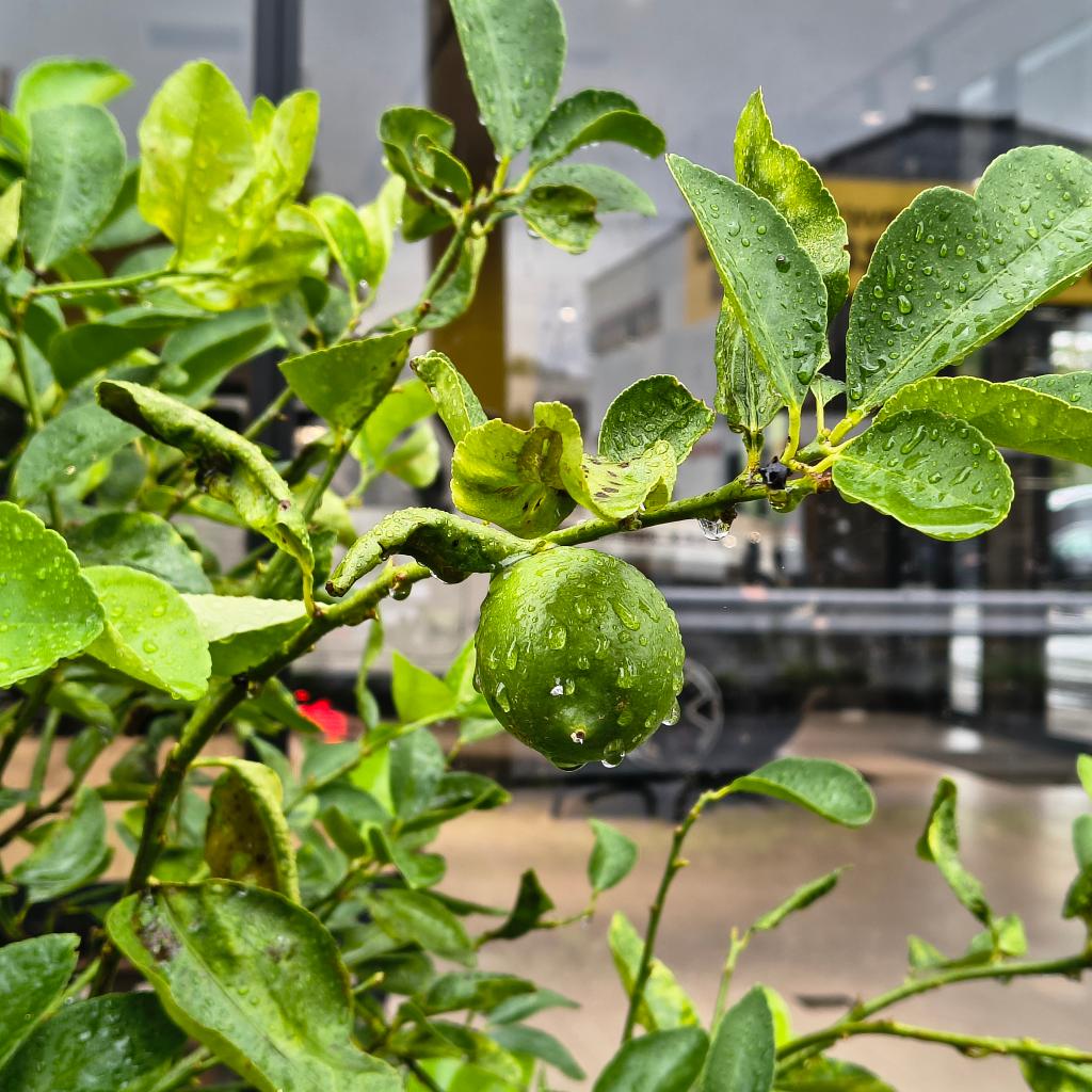 雨でラッキーな事あるある