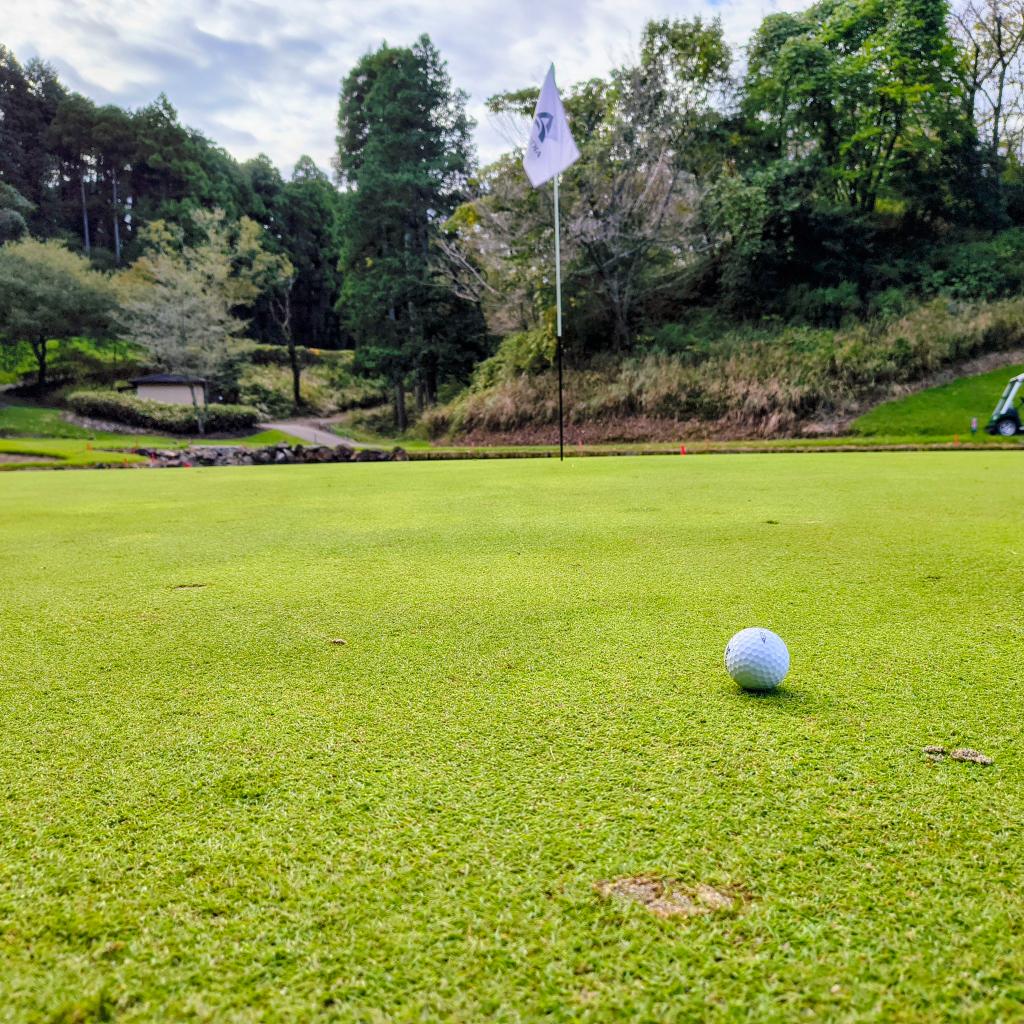みんなのGOLF 8