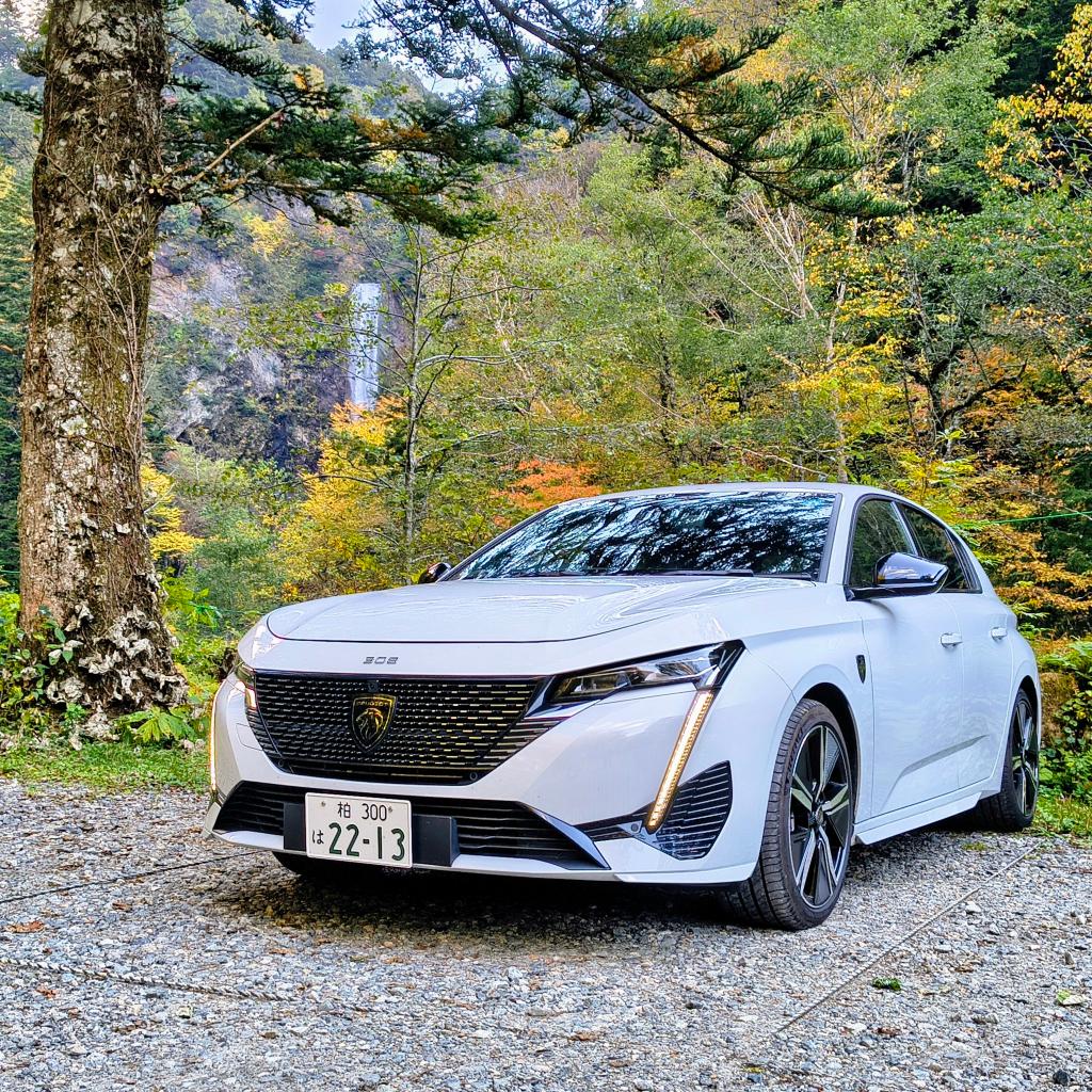 岐阜の名所に行ってきました！！！