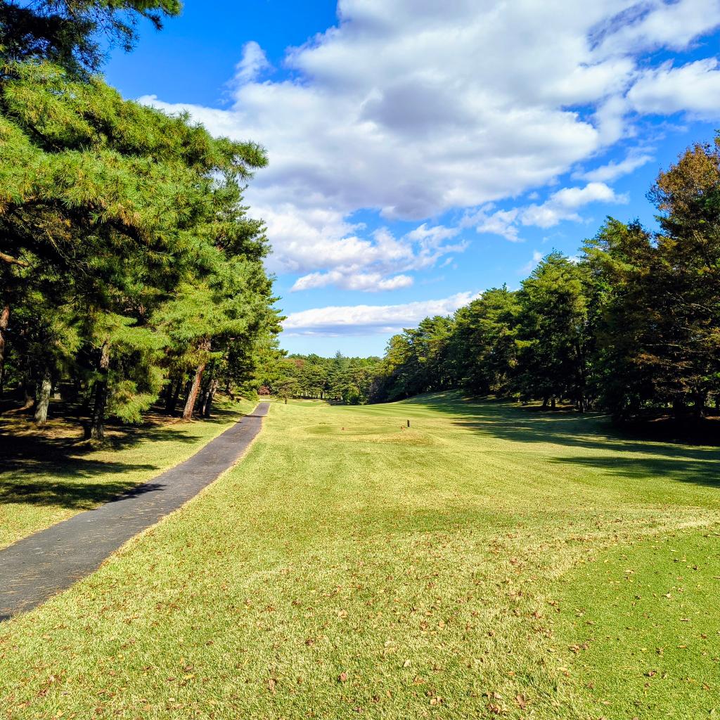 みんなのGOLF FINAL！